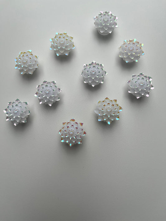 Frosted Crystal Flower Shoe Charm